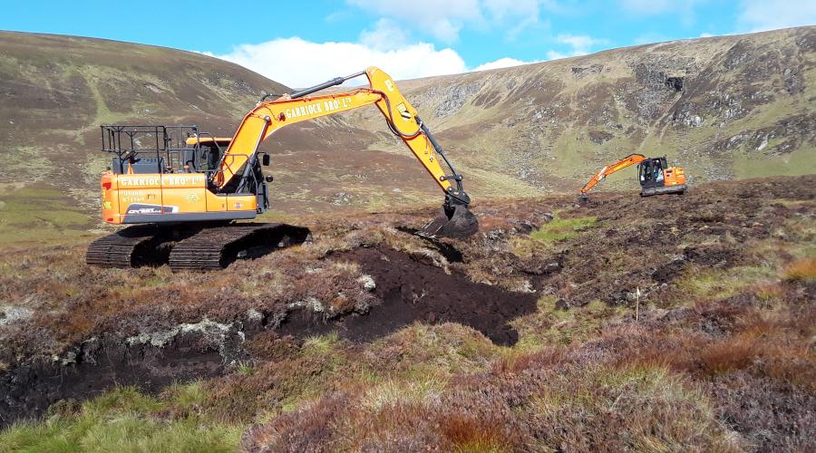 Record levels of peatland restored
